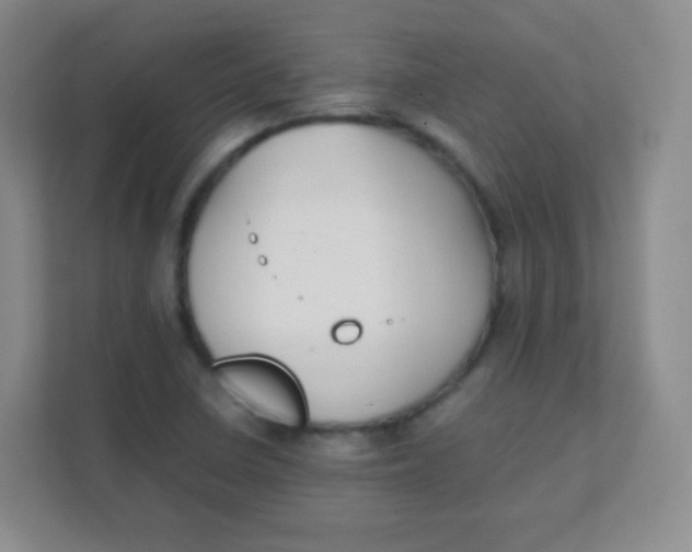 X0000111391410200907311104