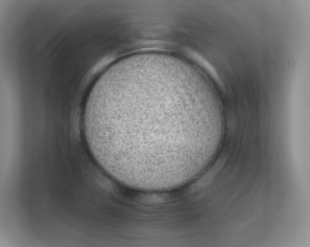 X0000111391411200907311104