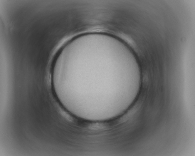 X0000111391414200907311104