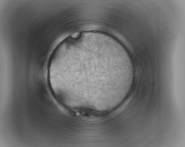 X0000111391418200907311104