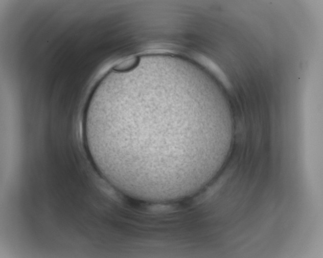 X0000111391419200907311104