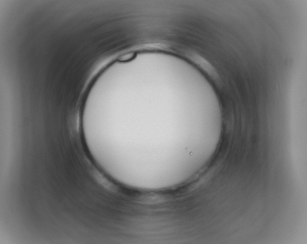 X0000111391420200907311104