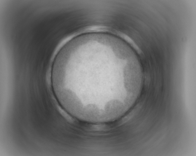 X0000111391421200907311104