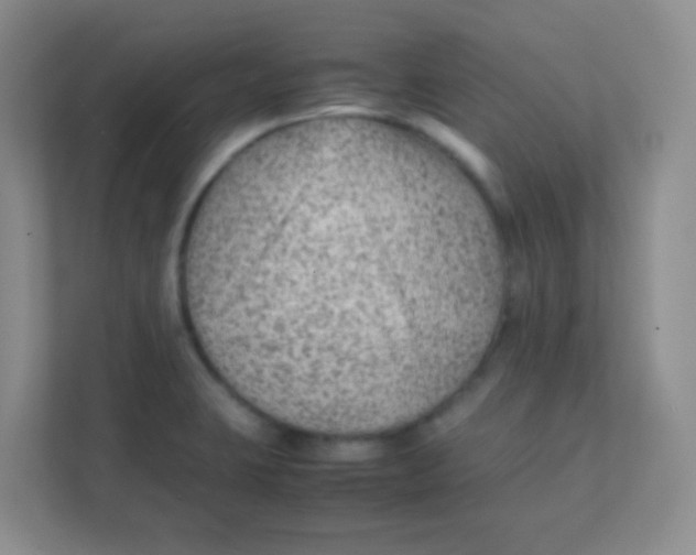 X0000111391423200907311104