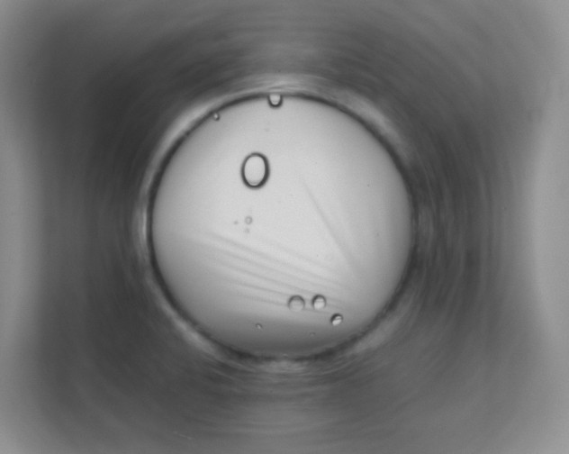 X0000111391424200907311104