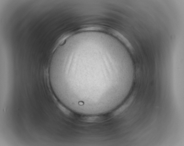 X0000111391425200907311104