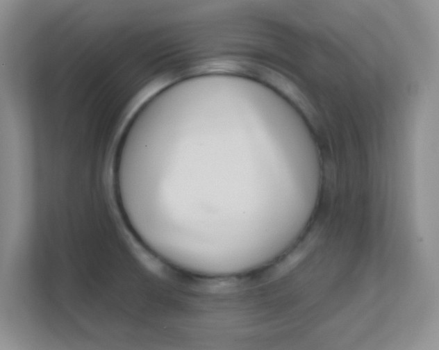 X0000111391426200907311104