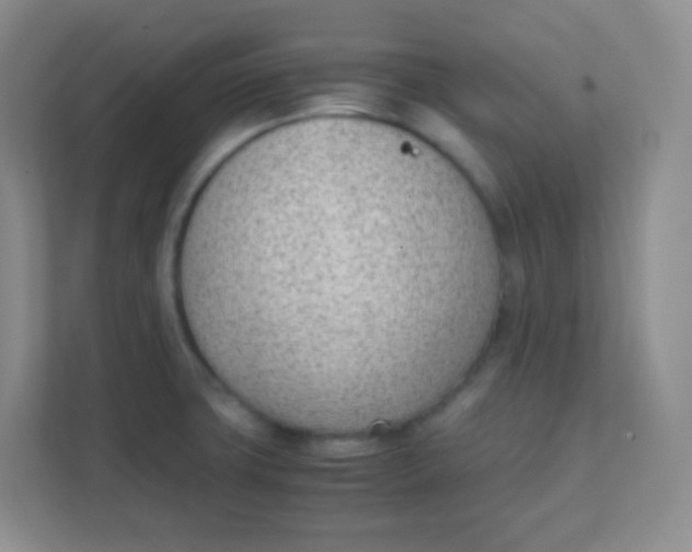 X0000111391427200907311104