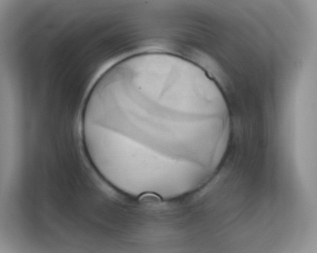 X0000111391428200907311104