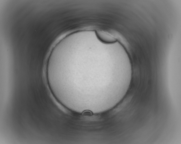 X0000111391429200907311105