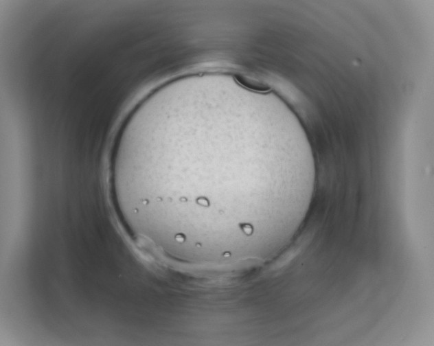 X0000111391430200907311105