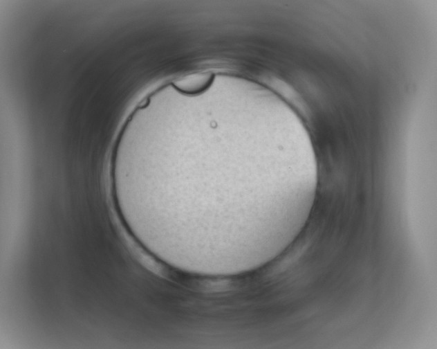 X0000111391431200907311105