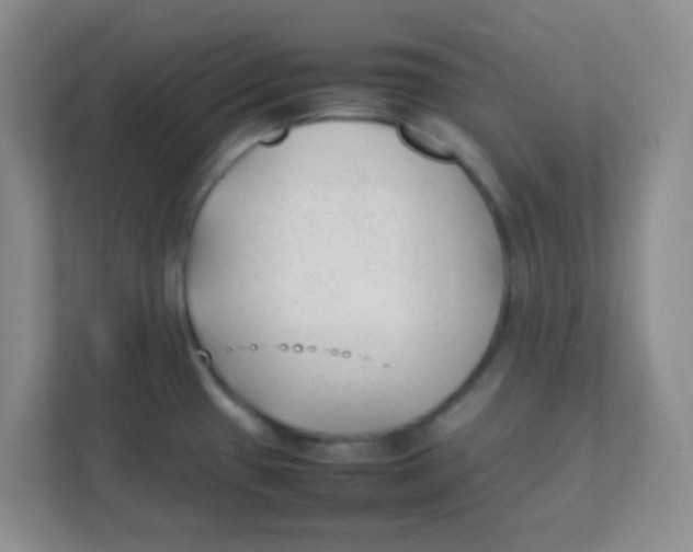 X0000111391433200907311105