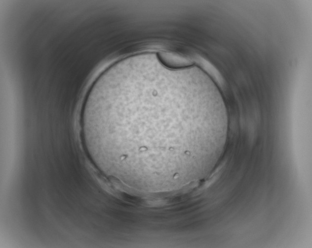 X0000111391435200907311105