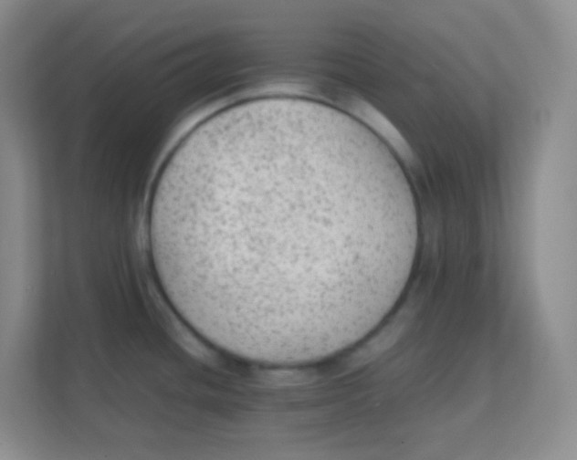 X0000111391436200907311105