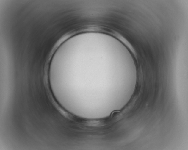 X0000111391437200907311105