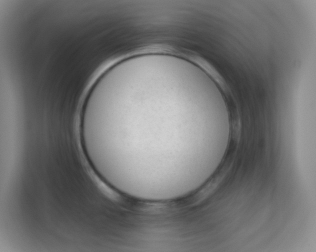 X0000111391438200907311105