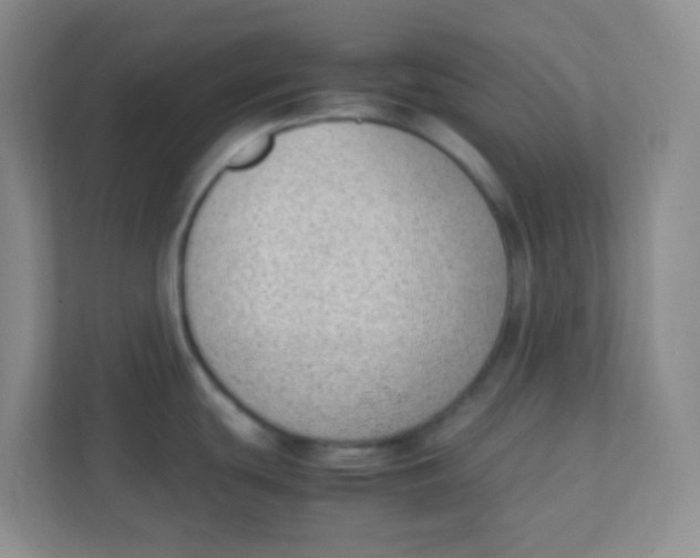 X0000111391439200907311105