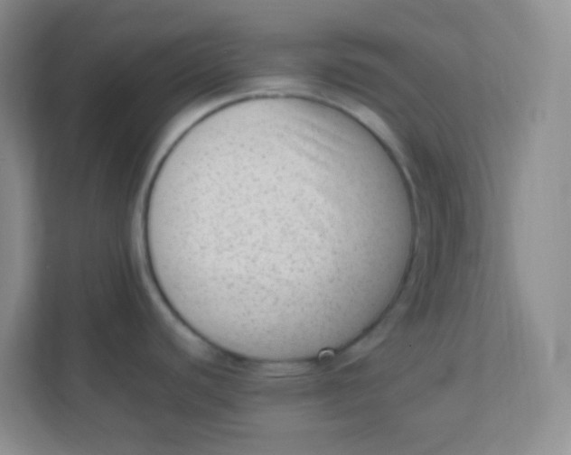 X0000111391440200907311105