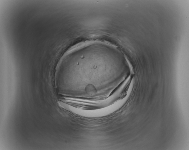 X0000111391441200907311104