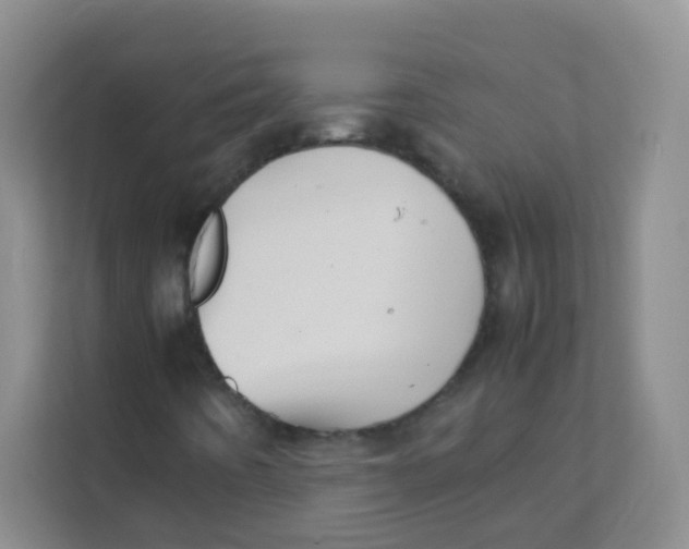 X0000111391442200907311104