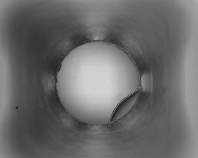 X0000111391443200907311104