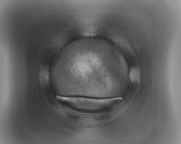 X0000111391444200907311104