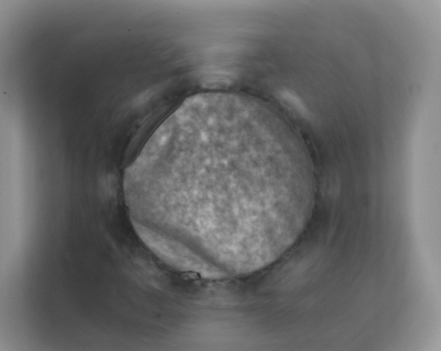 X0000111391445200907311104