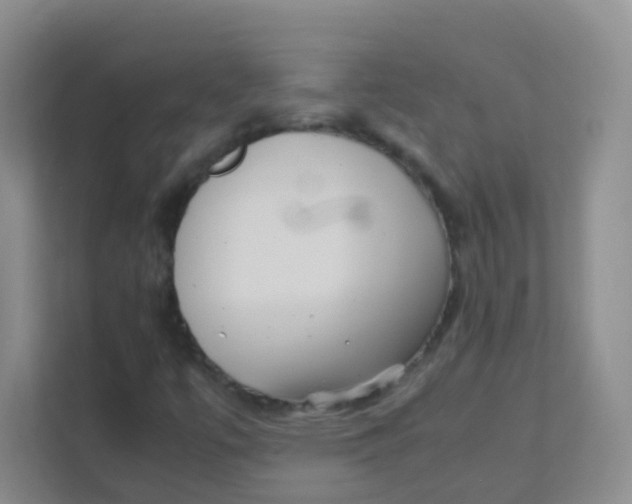 X0000111391447200907311104