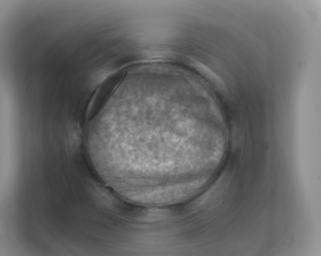 X0000111391449200907311104