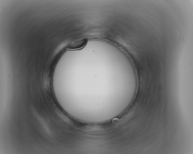 X0000111391450200907311104