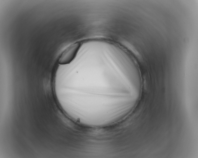 X0000111391452200907311104