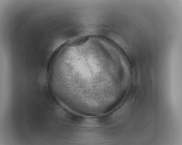 X0000111391453200907311104