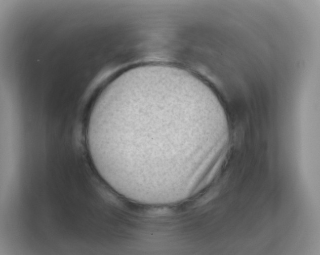 X0000111391454200907311104