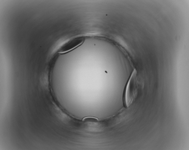 X0000111391456200907311104