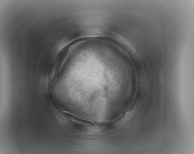 X0000111391457200907311104