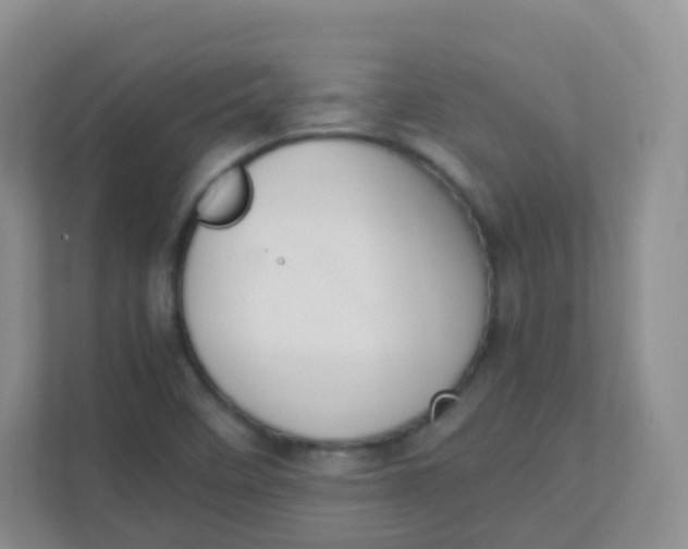 X0000111391458200907311104