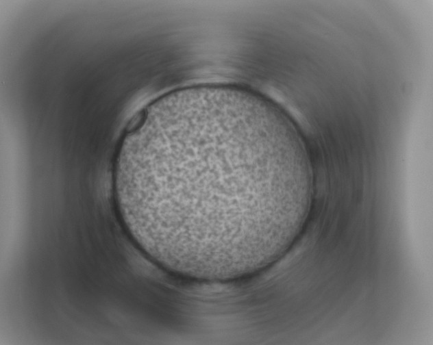 X0000111391459200907311104