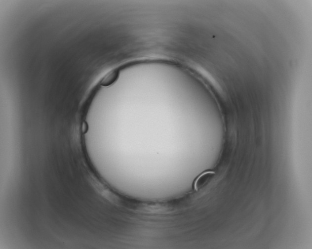 X0000111391460200907311104