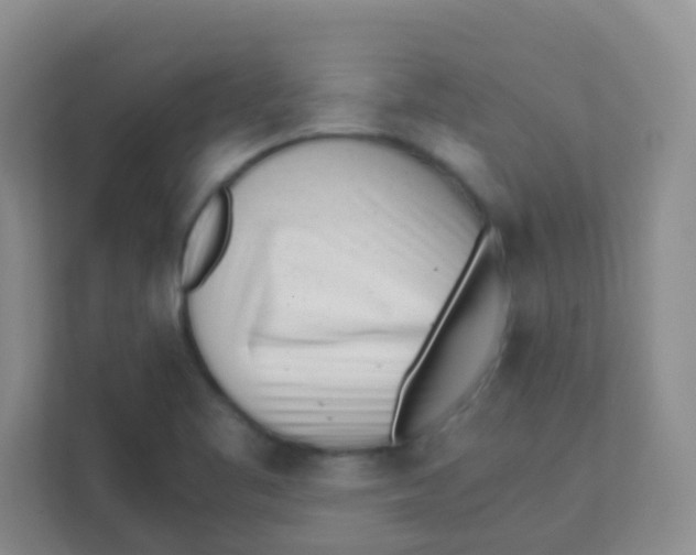 X0000111391461200907311104