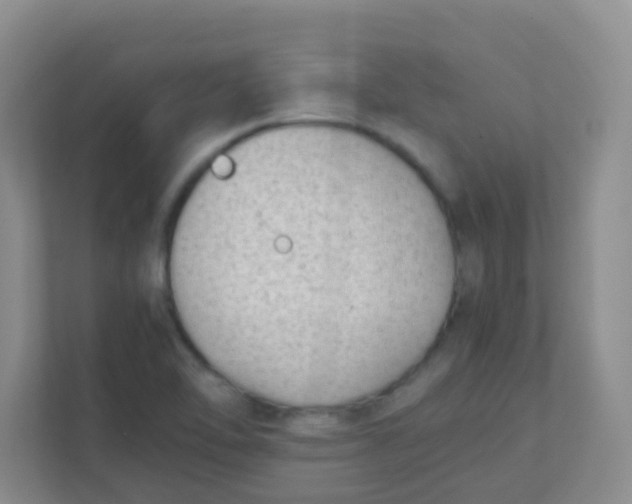 X0000111391462200907311104