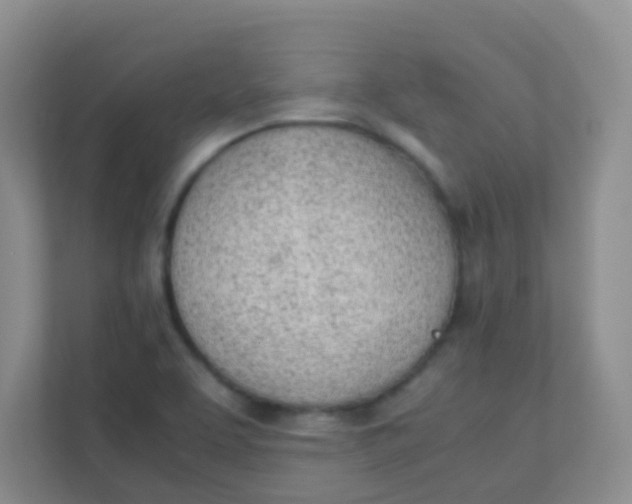 X0000111391463200907311104