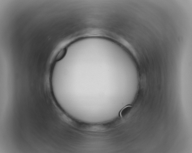 X0000111391464200907311104