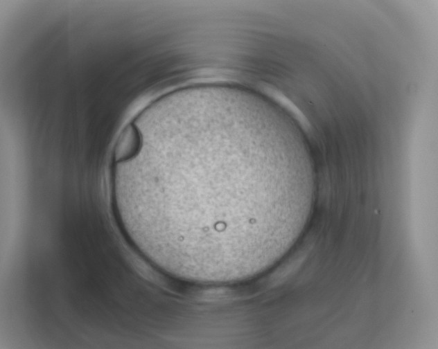 X0000111391467200907311104