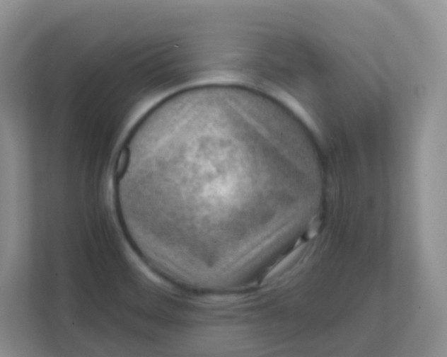 X0000111391468200907311104