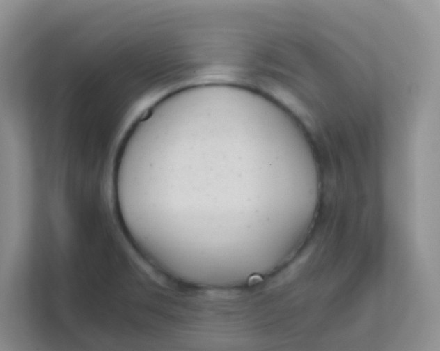 X0000111391469200907311104