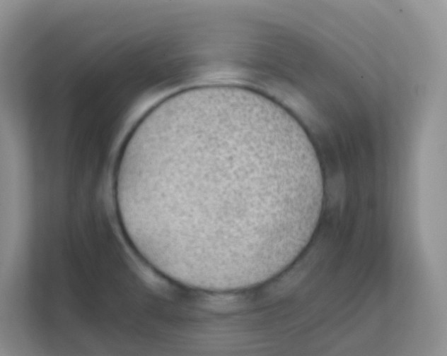 X0000111391470200907311104