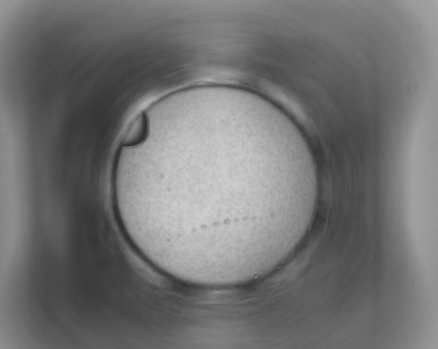 X0000111391471200907311104