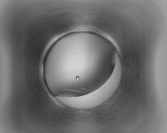 X0000111391472200907311104