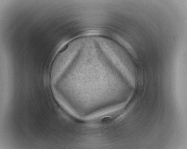 X0000111391473200907311104